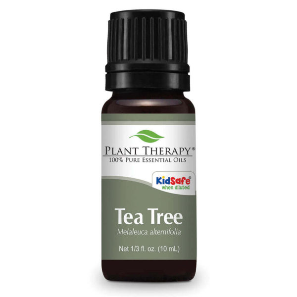 Teafa - Tea Tree - planttherapy.hu - illóolaj