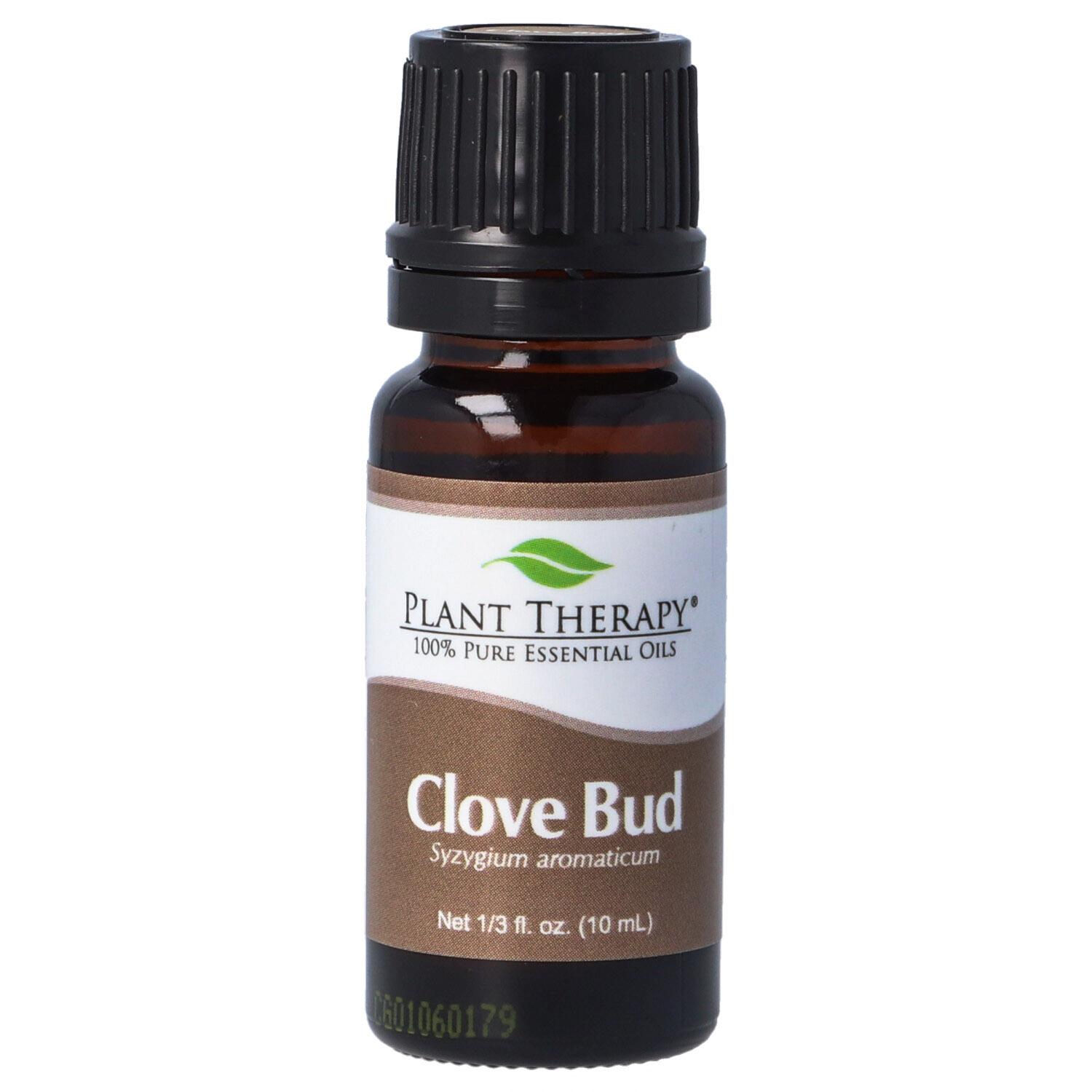 Szegfűszeg - Clove Bud - planttherapy.hu - illóolaj