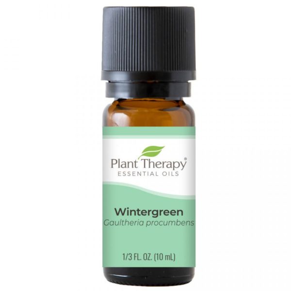 Kúszó Fajdbogyó - Wintergreen - planttherapy.hu - illóolaj